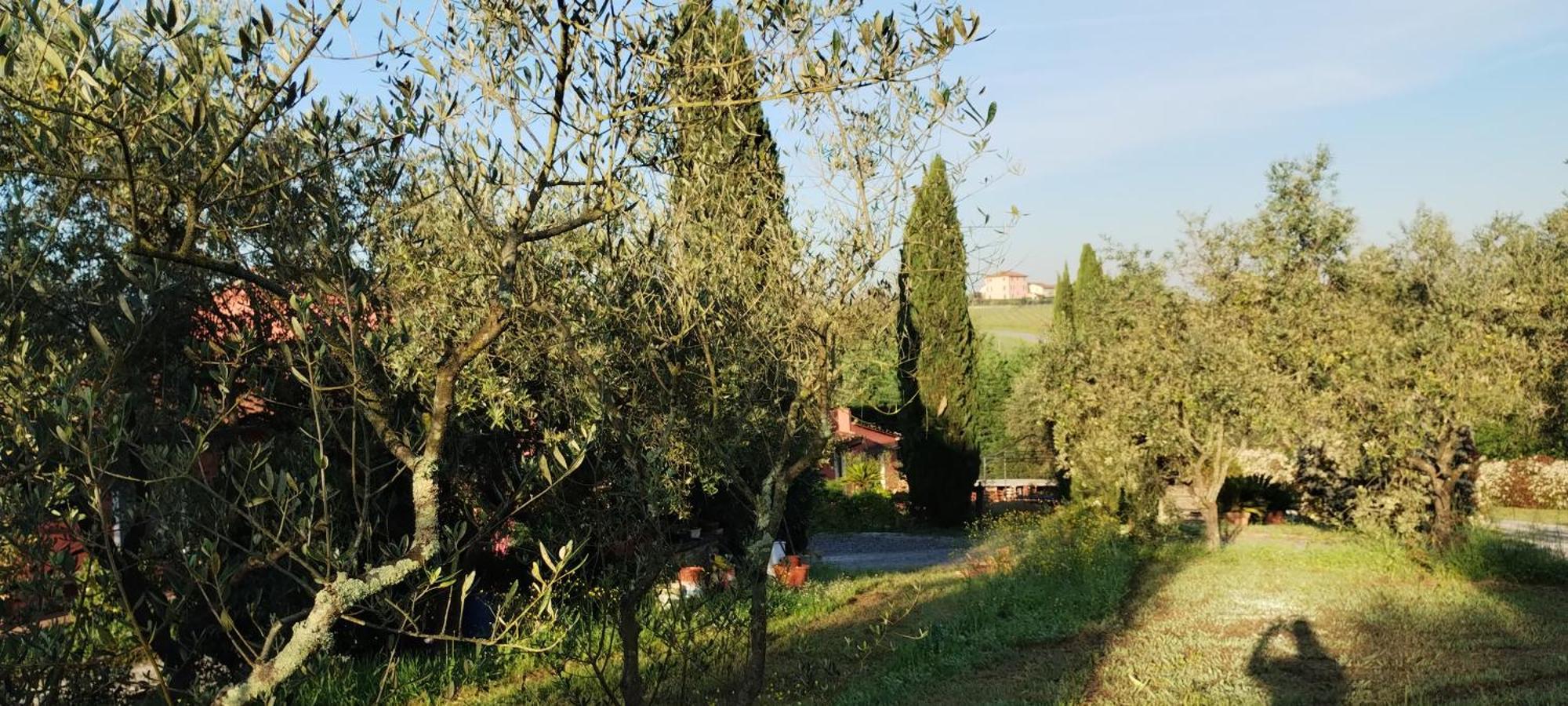 Al Sangallo Agriturismo Montecarlo Exteriör bild
