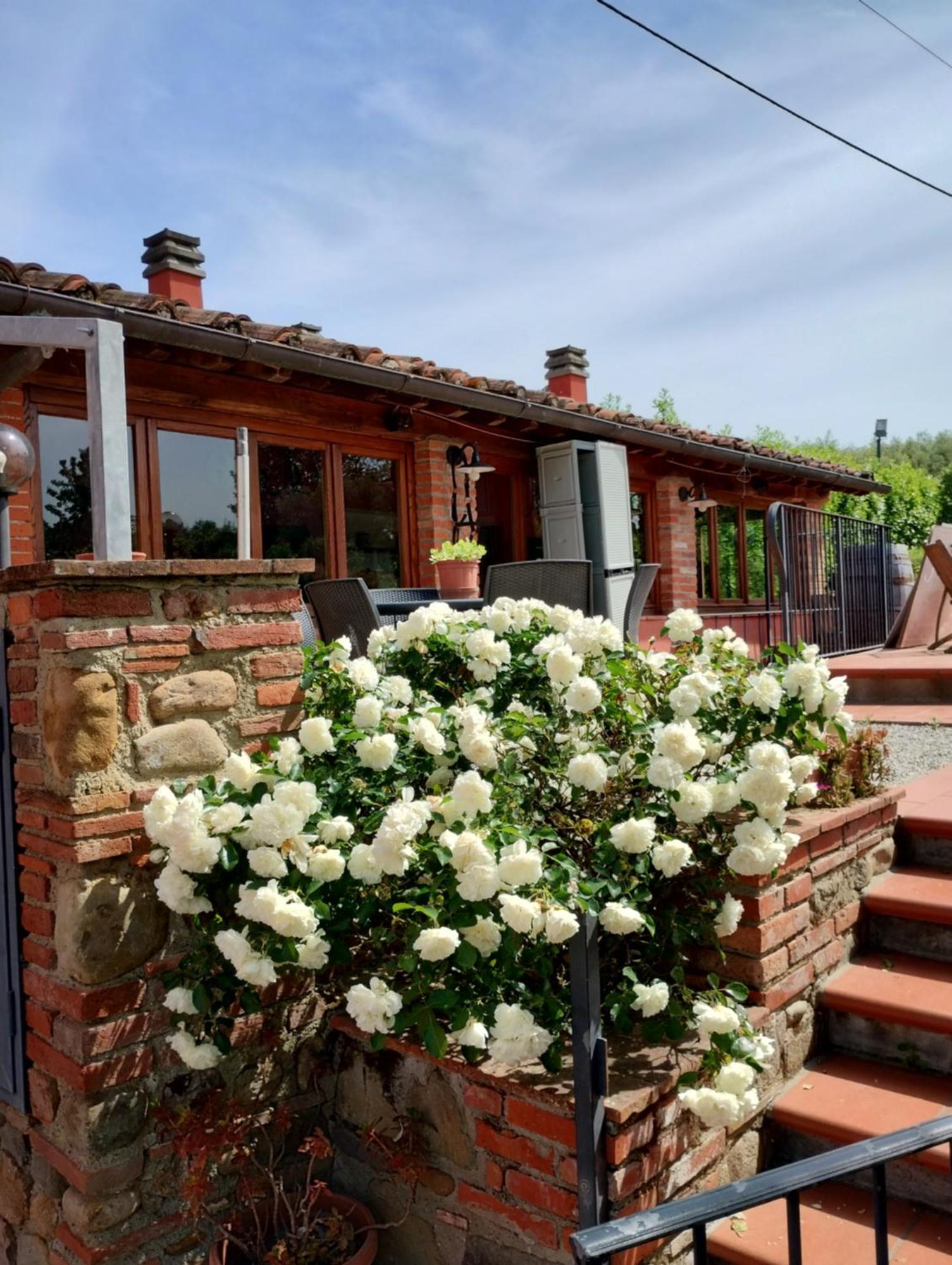 Al Sangallo Agriturismo Montecarlo Exteriör bild